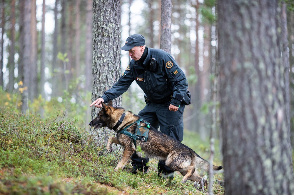 Rajavartija ja rajakoira ovat metsässä.