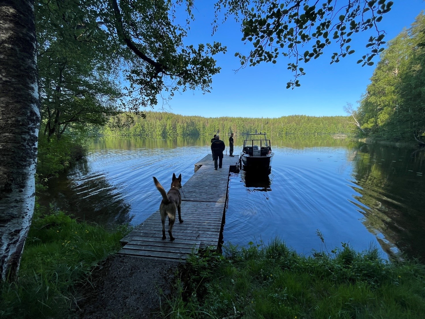 Järvimaisema ja laituri jossa koira ja ihmisiä.