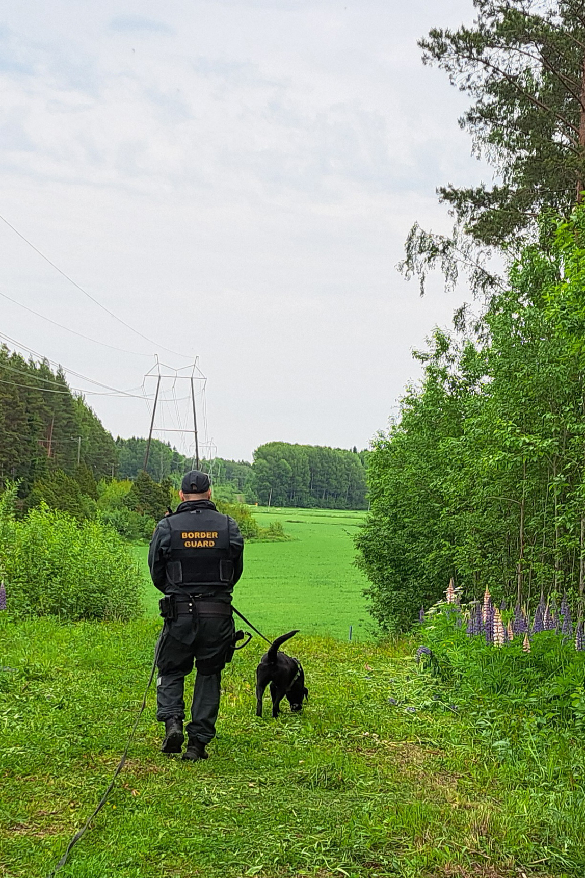 En person från sjöbevakningen och sjöbevakningens hund fotade bakifrån. På tjänstemannens rygg står på engelska ”Border Guard”. Hunden går framför och luktar i marken. De går i en grön natur. 