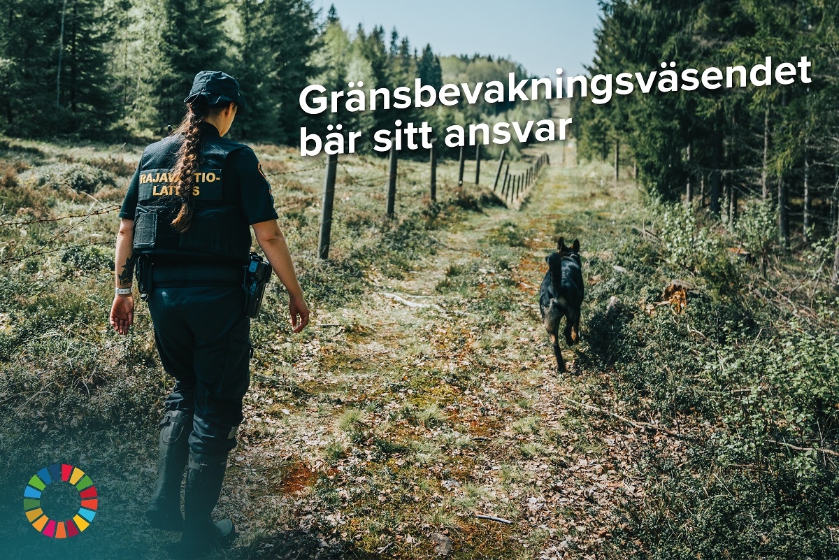 En gränsbevakare går i skogen med en hund på sommaren. Bilden har en text Gränsbevakningsväsendet bär sitt ansvar. 