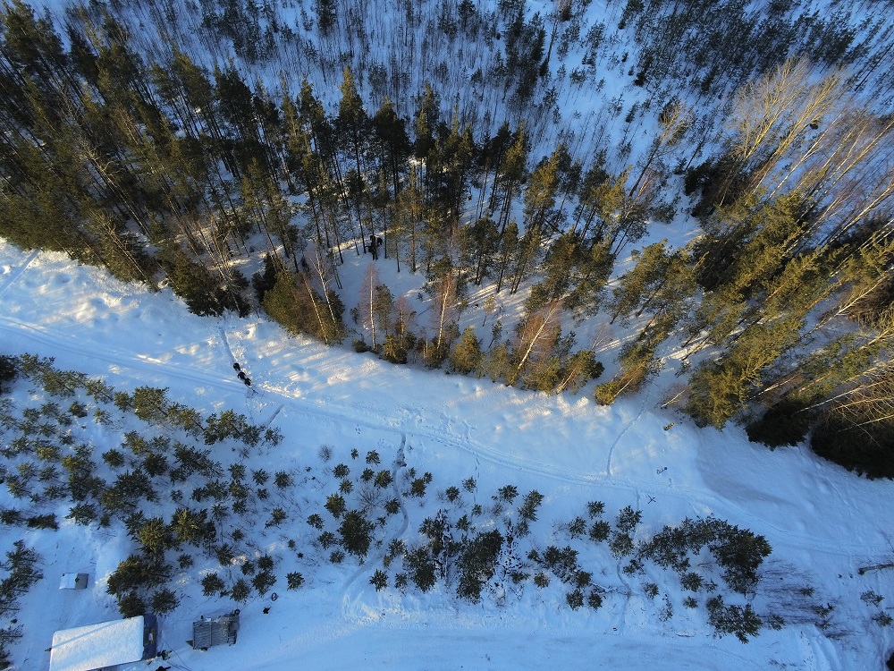 Ilmakuva talvisesta metsästä.