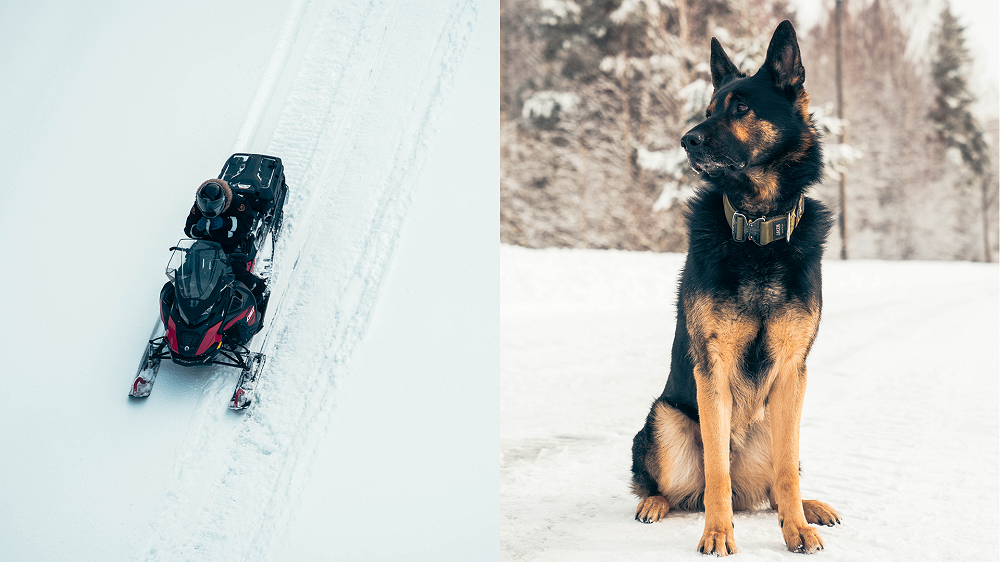 Moottorikelkka sekä vartiokoira Rymy.