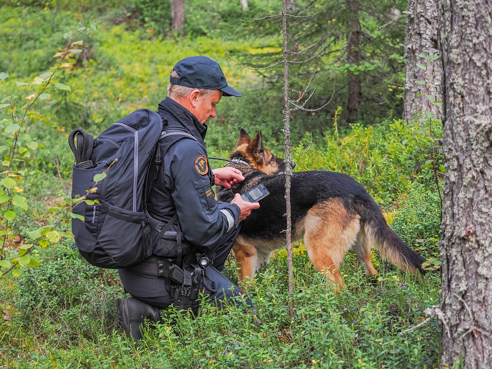 Metsä jossa henkilö polvillaan mittari kädessään. Vieressä koira.