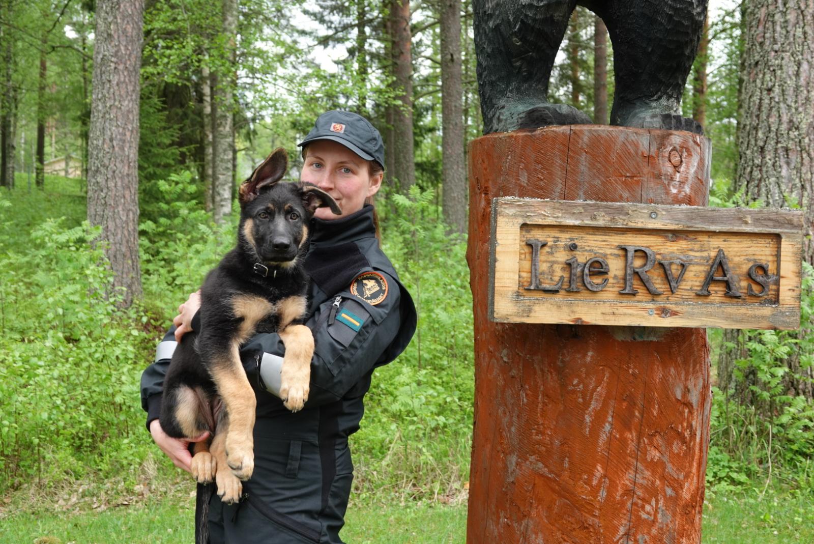 Rajavartija Sofia Lakka pitää sylissään saksanpaimenkoiranarttu Nalaa, taustana kesäistä metsää